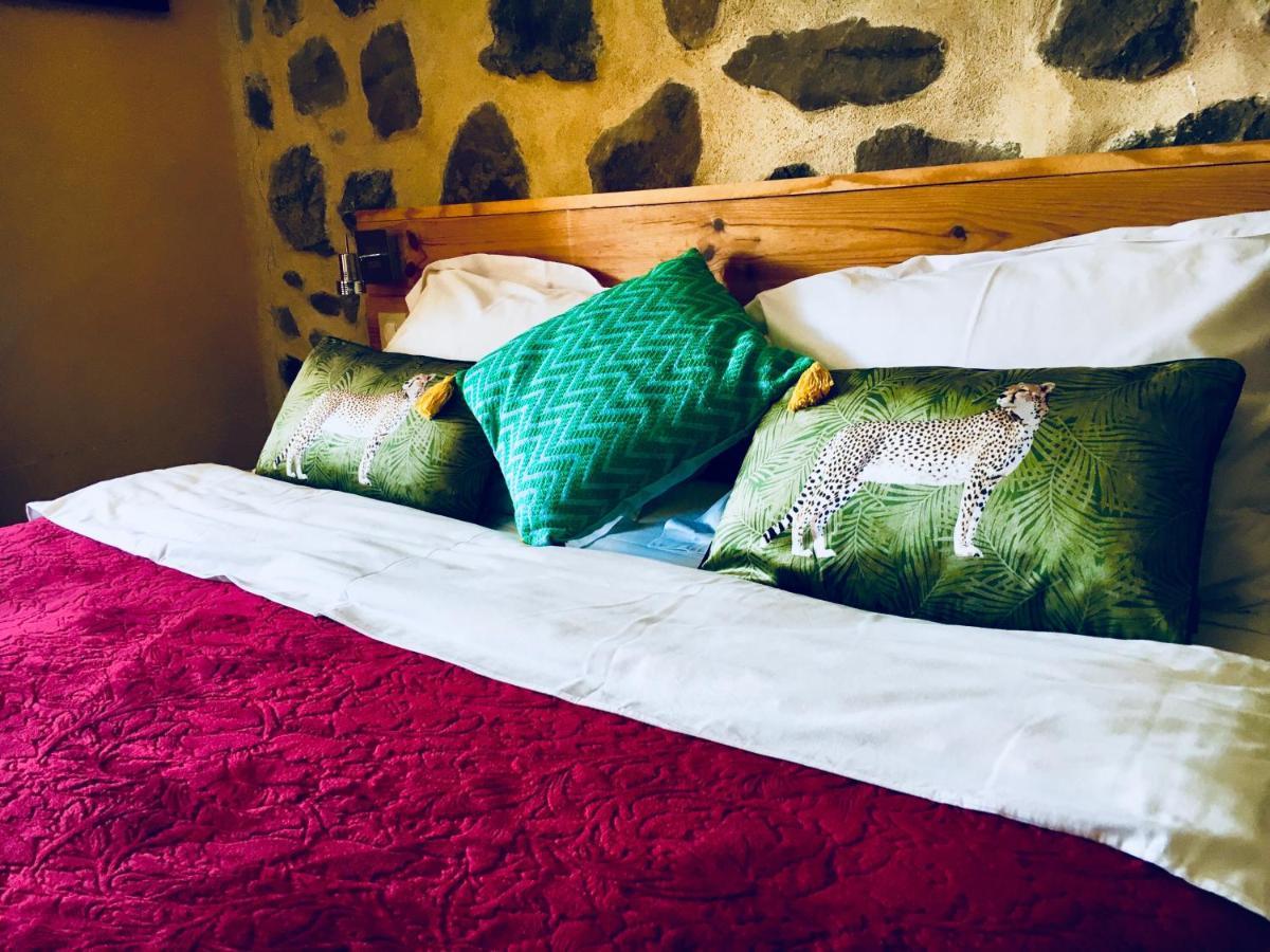 Chambre D'Hotes La Grange Des Ecrins Chabottes Exteriér fotografie